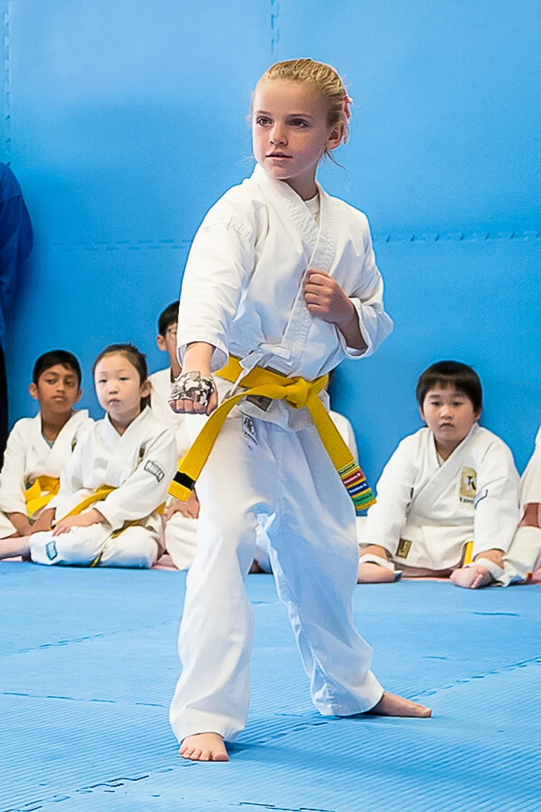 Kando Martial Arts Knox | Martial Arts, Karate, Brazilian Jiu-Jitsu